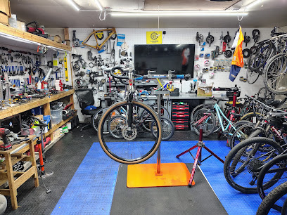 Tames Bike Repair